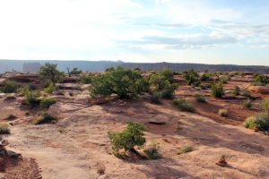 Slickrock at Dead Horse Point State Park