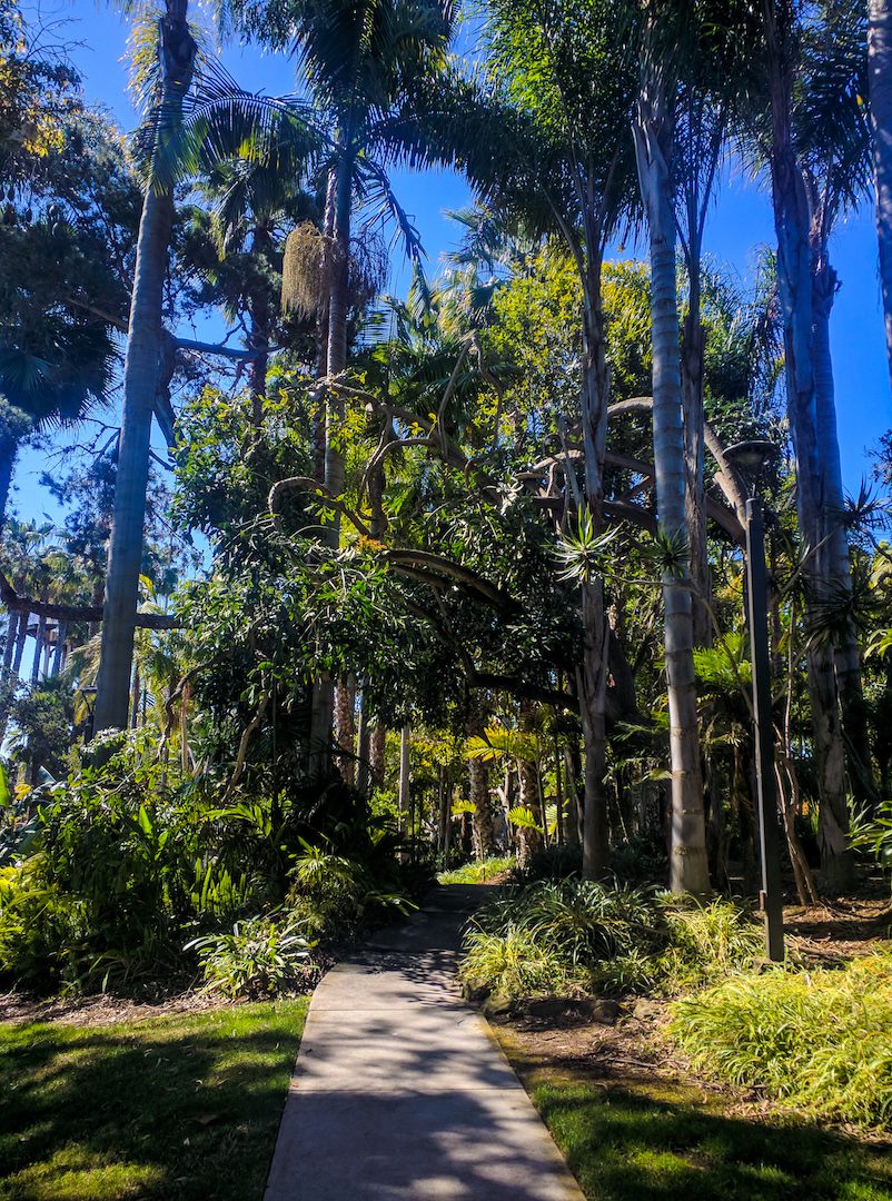 Walking Paths at Paradise Point Resort in San Diego, CA
