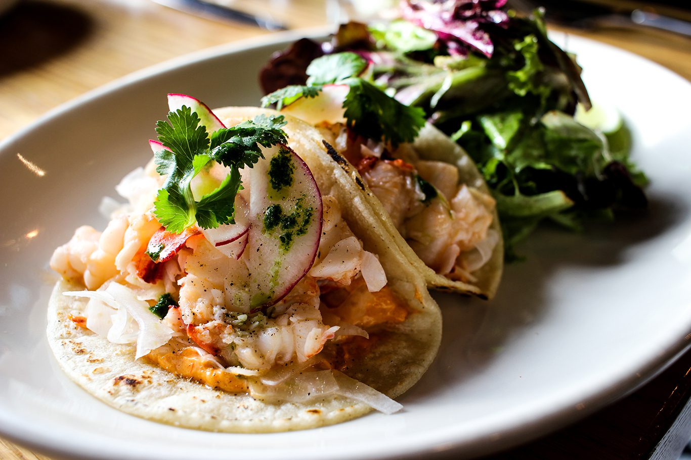 isa-restaurant-portland-maine-lobster-tacos