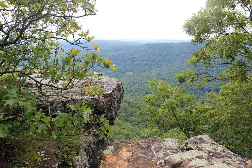 Bluffs on the Ozark Highlands Trail