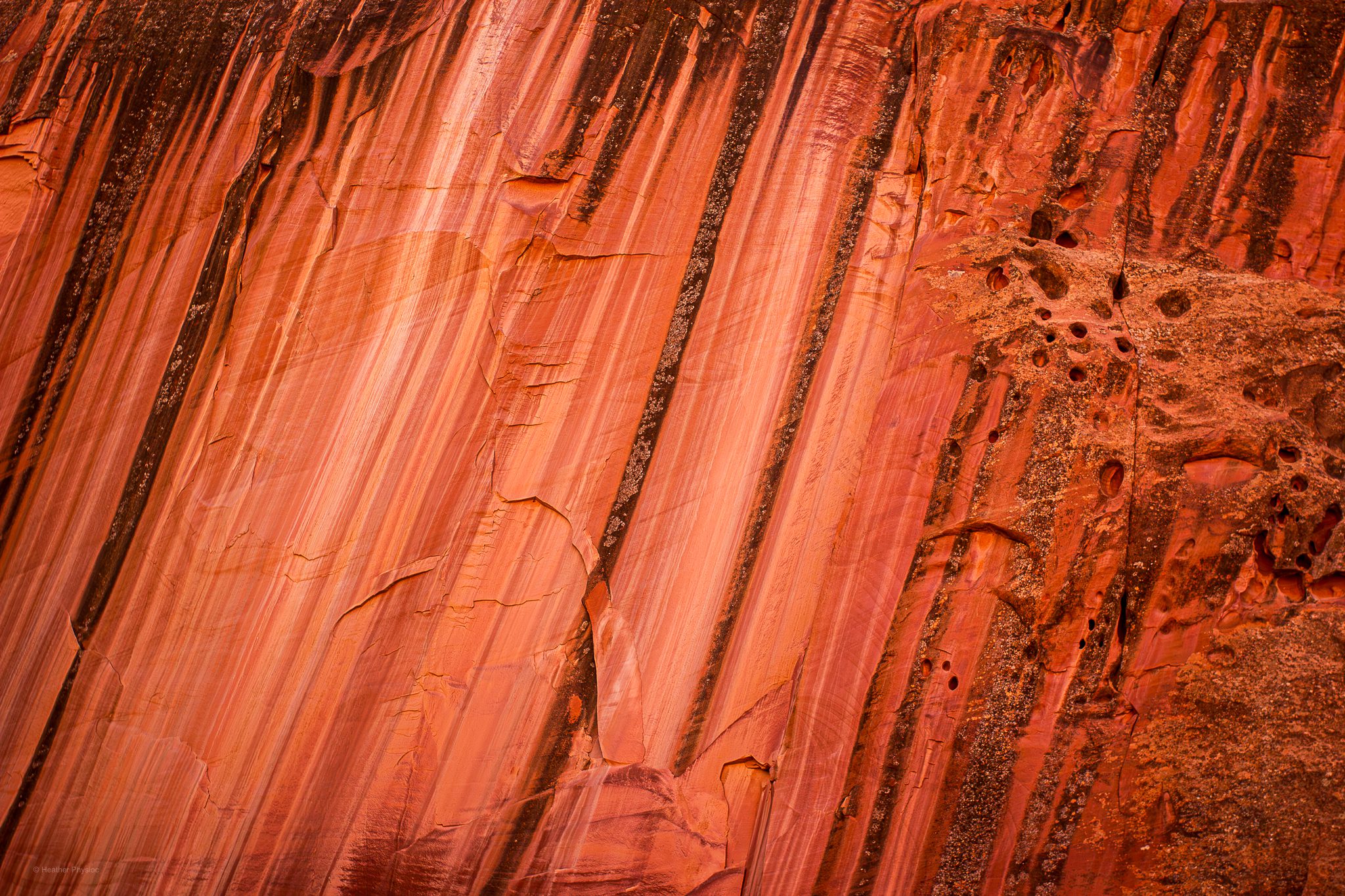 Desert Varnish Closeup at Capitol Reef National Park in Utah