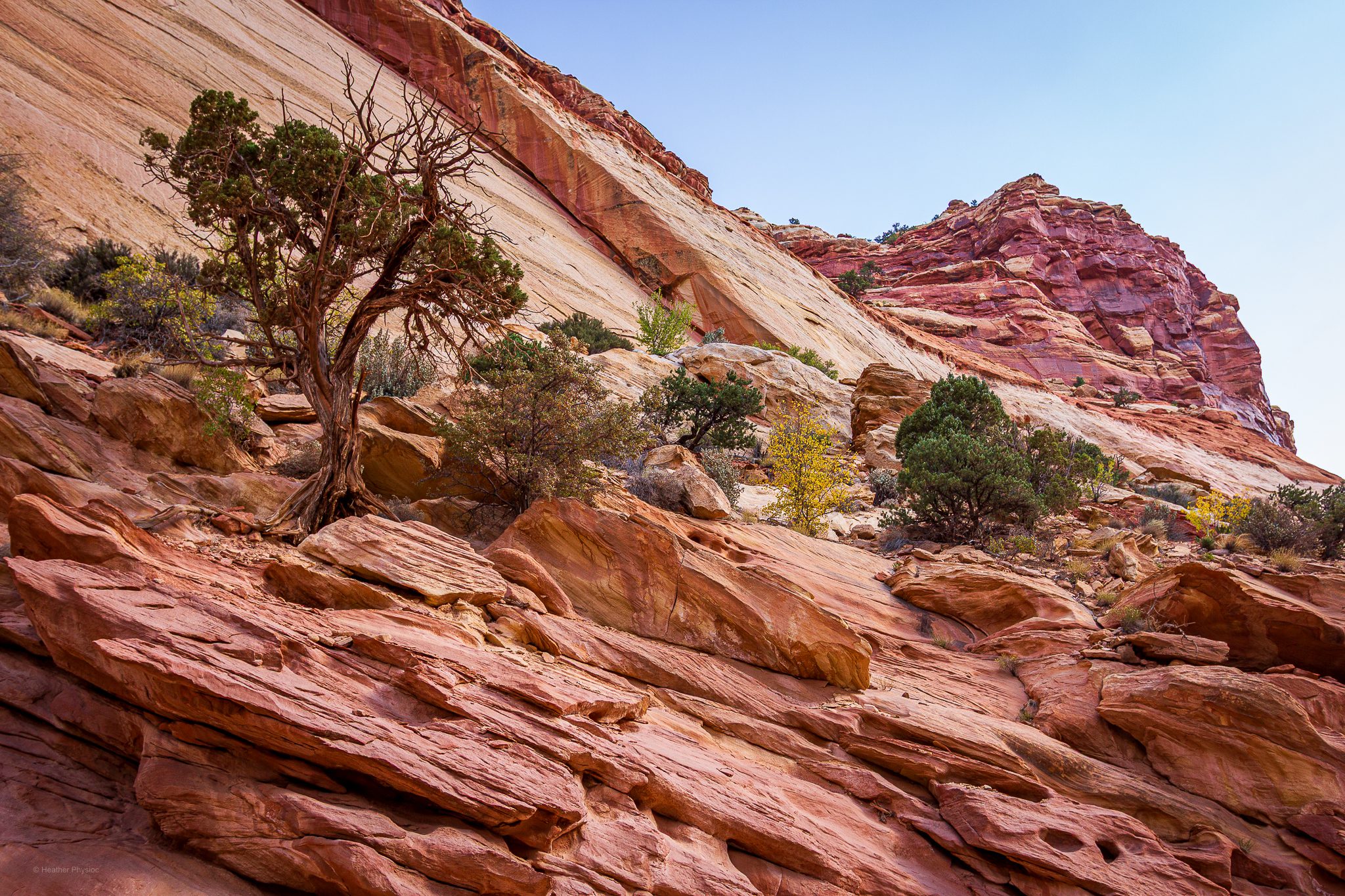 capitol-reef-landscape-photography-hp-11