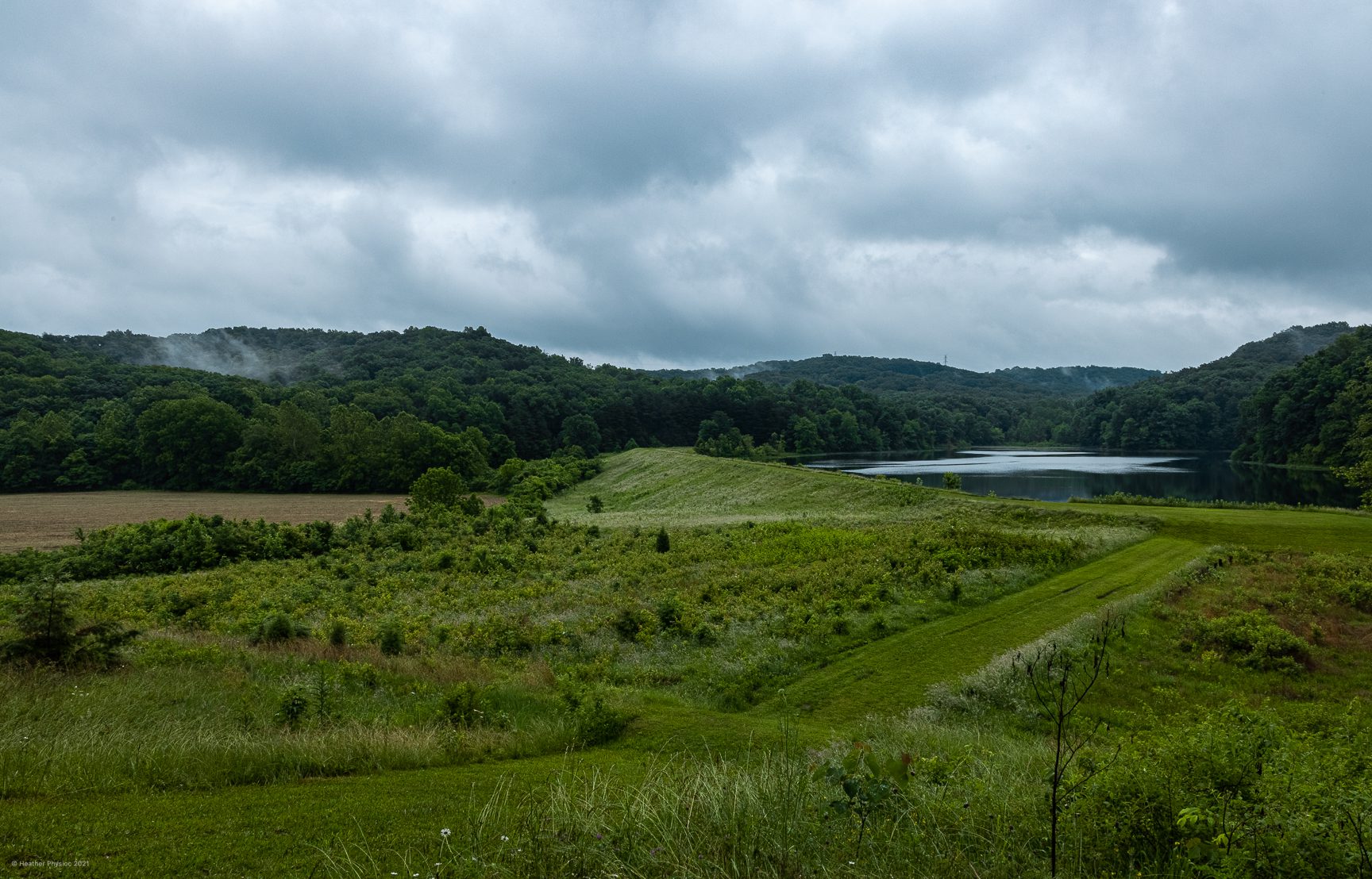 Foggy Green Hills & Lake at Knobstone Trailheads in Indiana