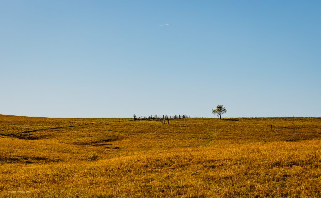 Wooden Farm Fence in the Fall on Flint Hills Nature Trail in Kansas