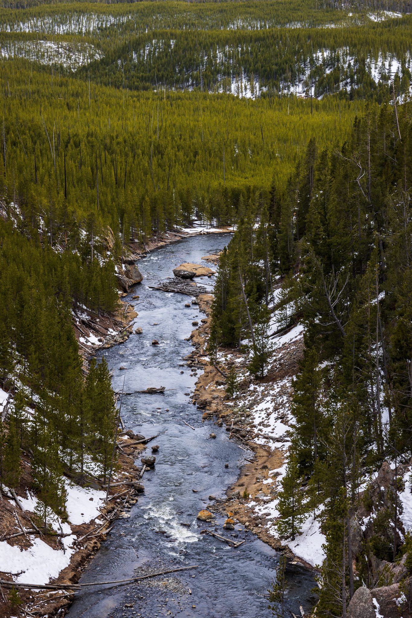 Gibbon River at Yellowstone National Park