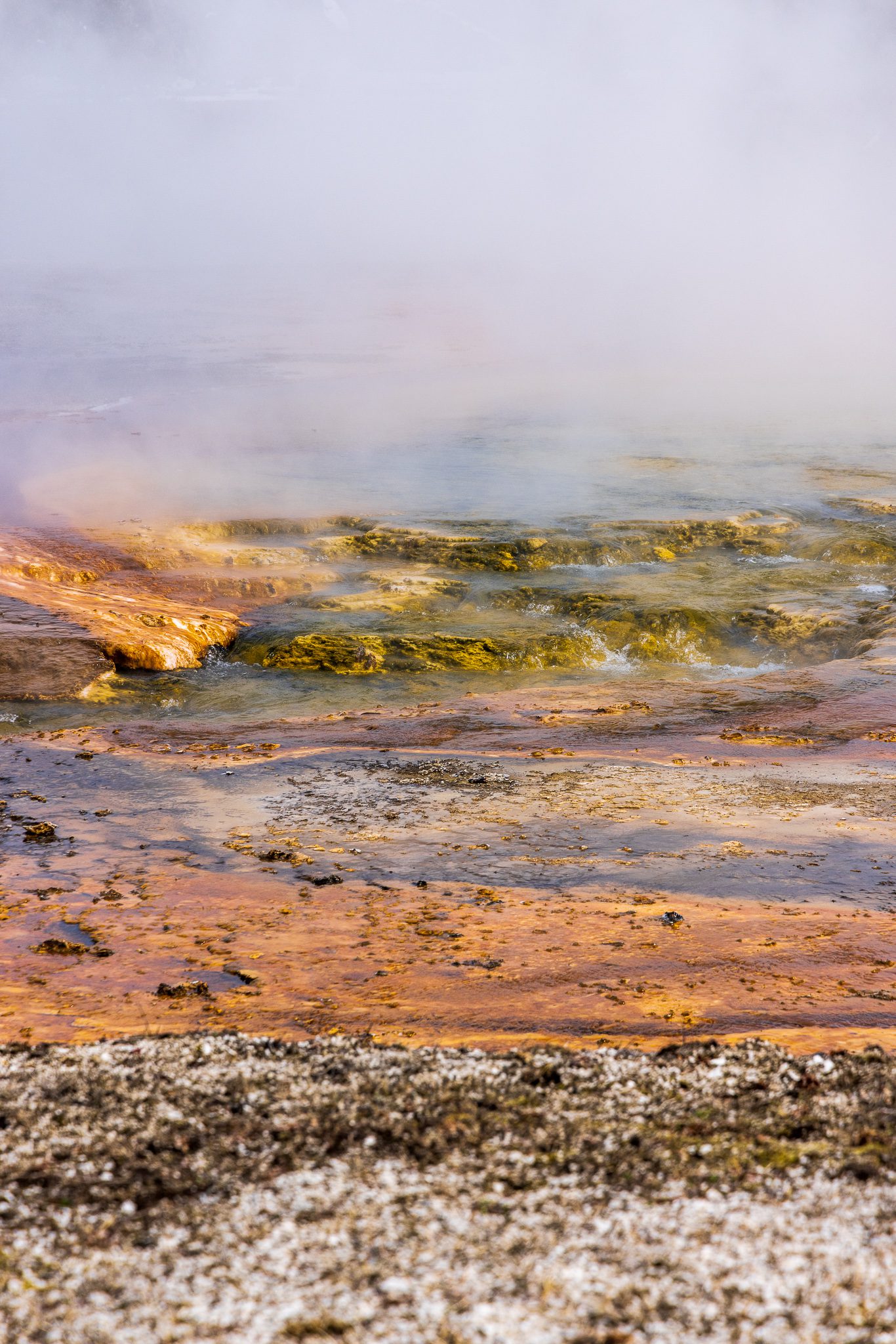 Orange & Green Hotspring Beds at Yellowstone National Park