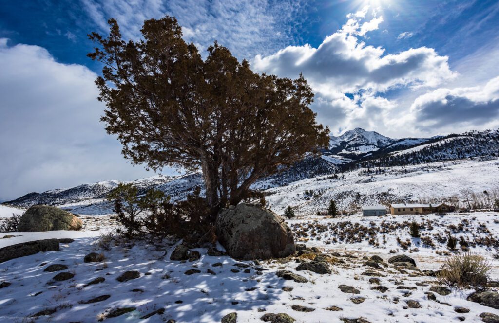 Wide angle photo of a cabin in Paradise Valley, Montana at the foot of Emigrant Peak on a sunny partly cloudy day casting shadows on trees and stones in the snow