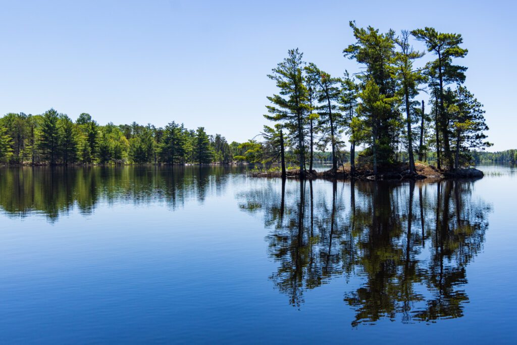 Wooded Islands at Voyageurs National Park