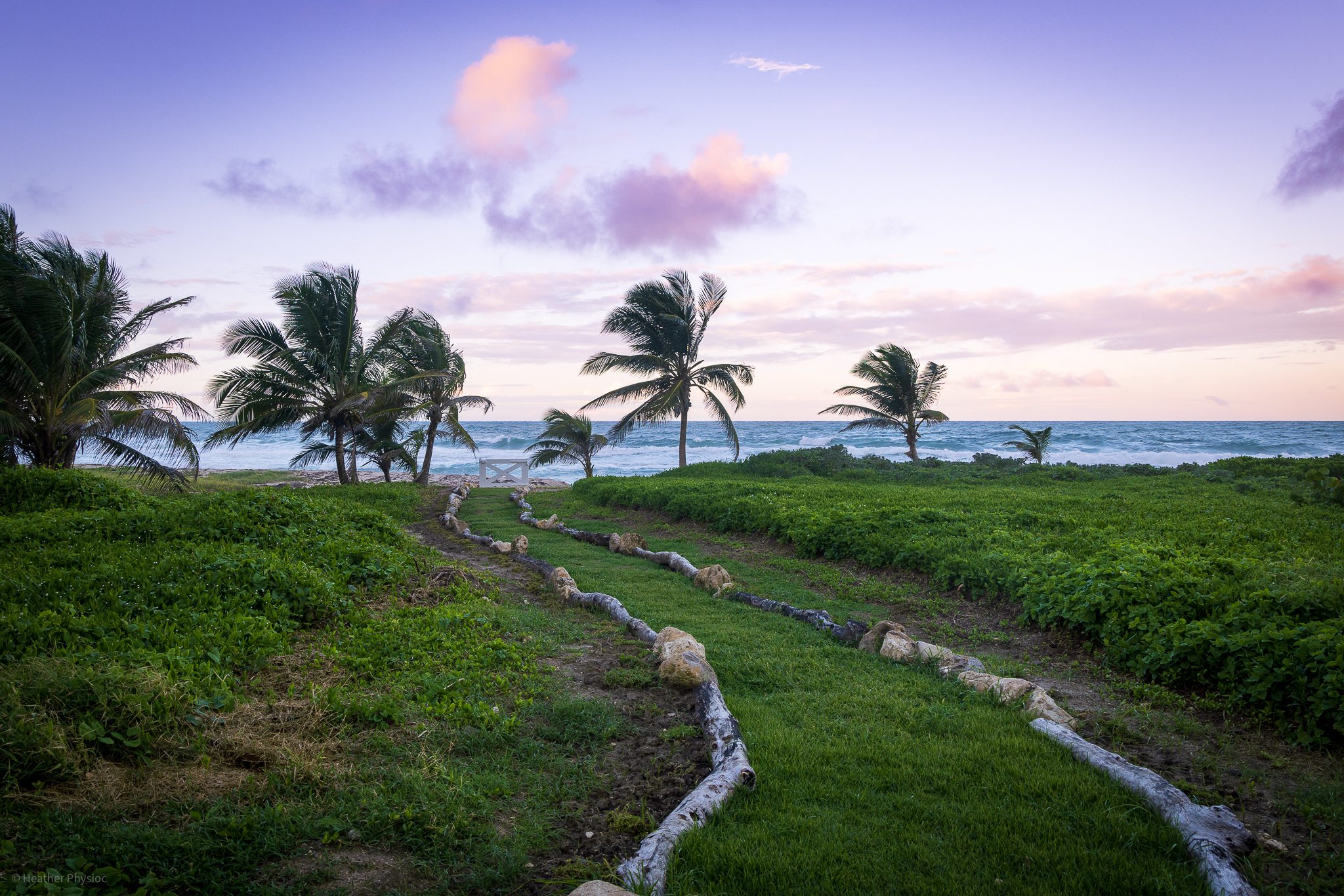 Palm trees and Atlantic sunset in tropical paradise near Bathsheba in St. Joseph, Barbados - photo by Heather Physioc