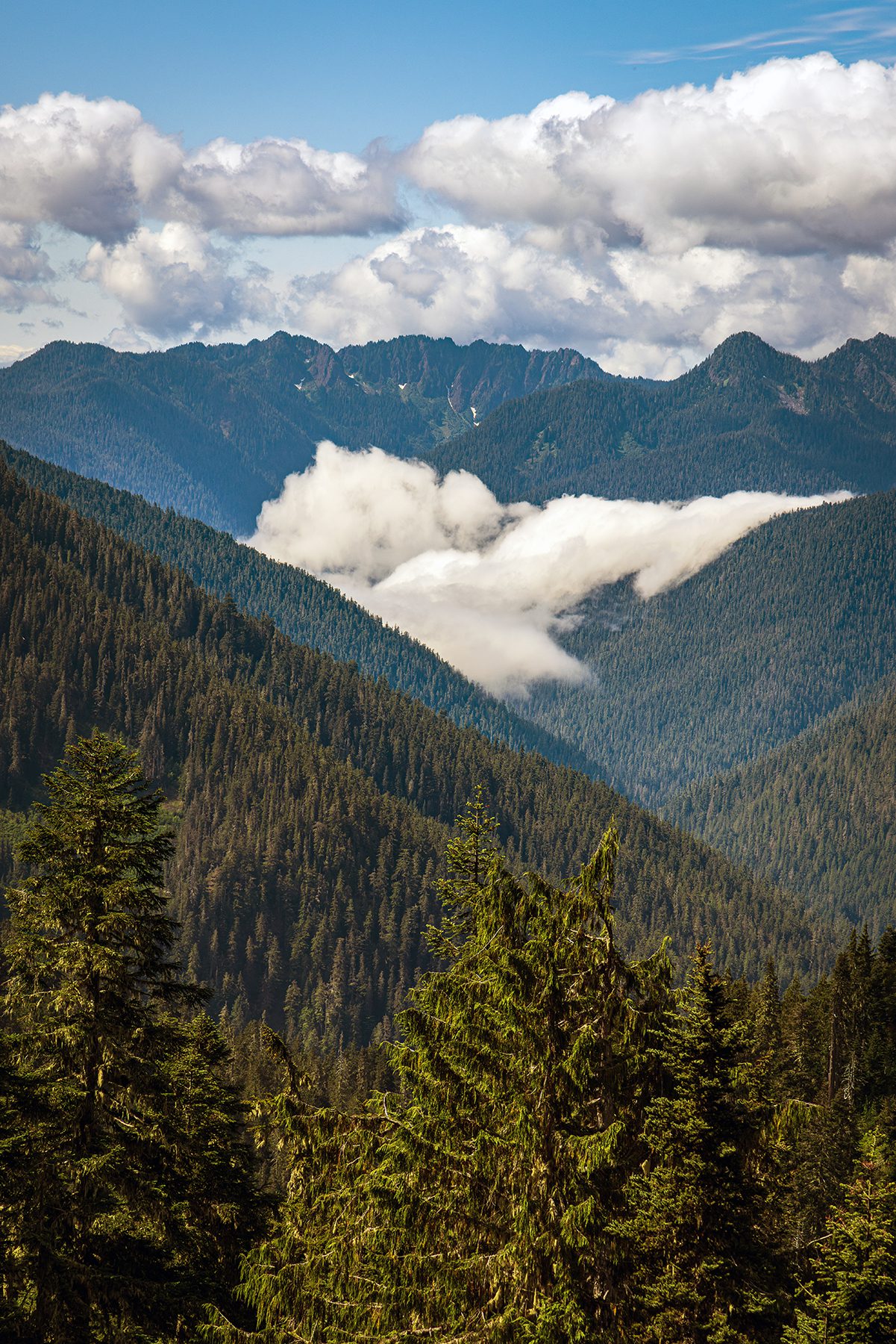Clouds sinking into a Cascade Mountain valley on the North Fork Skokomish River Trail in Washington's Olympic wilderness
