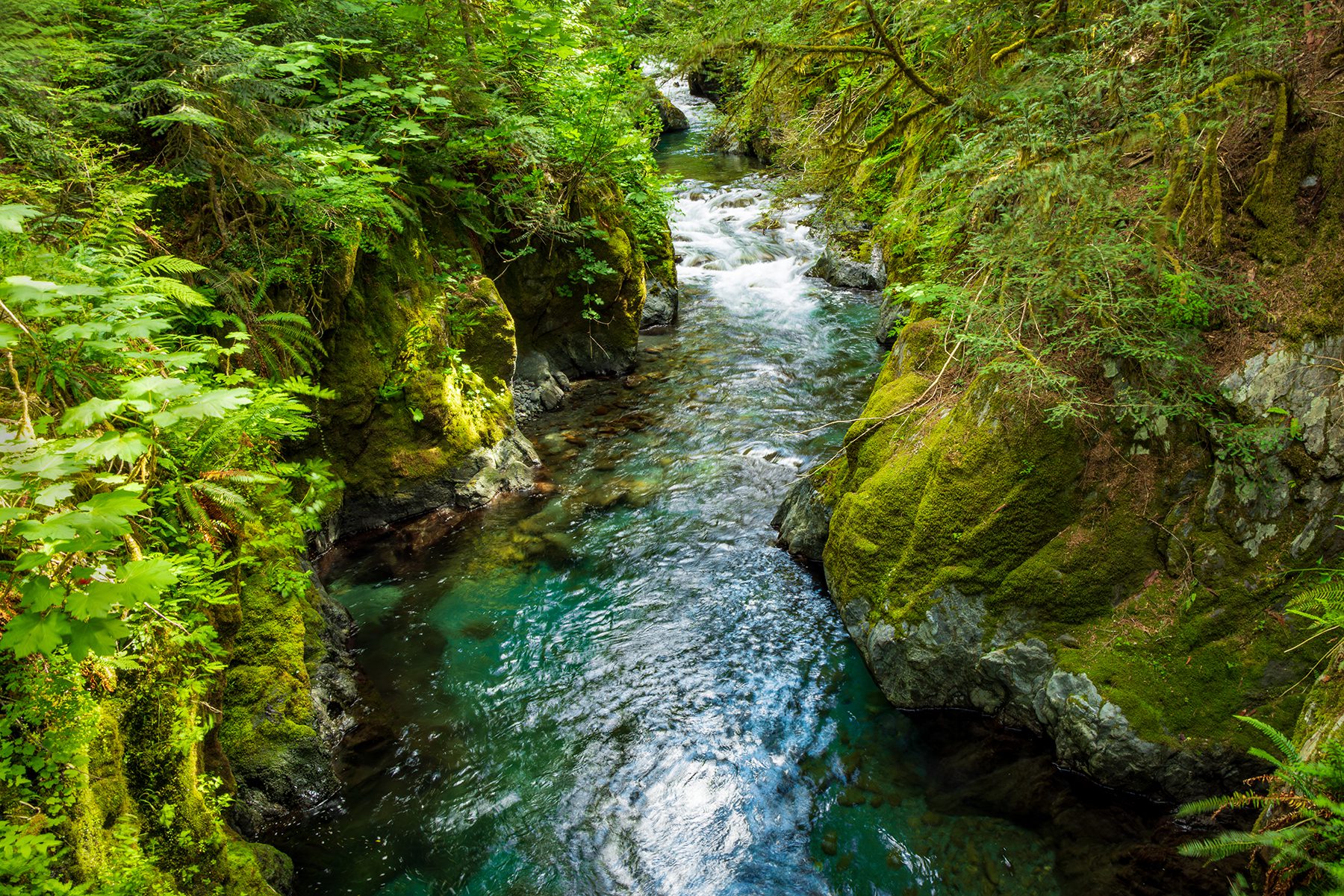 Turquoise waters winding through mossy mountainside in the North fork Skokomoish River