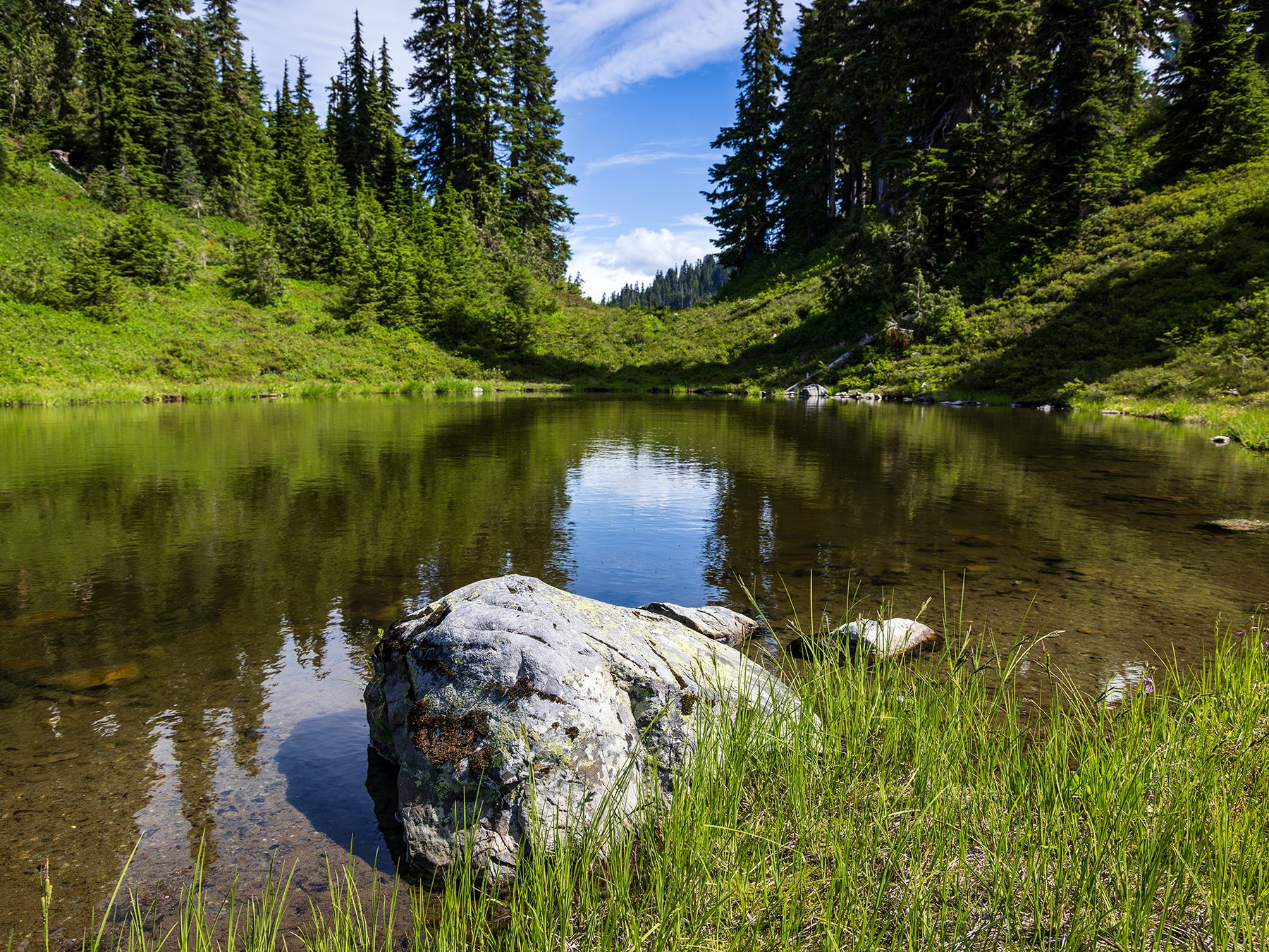 Crystal clear tadpole lake on the North Fork Skokomish River Trail in Olympic National Park