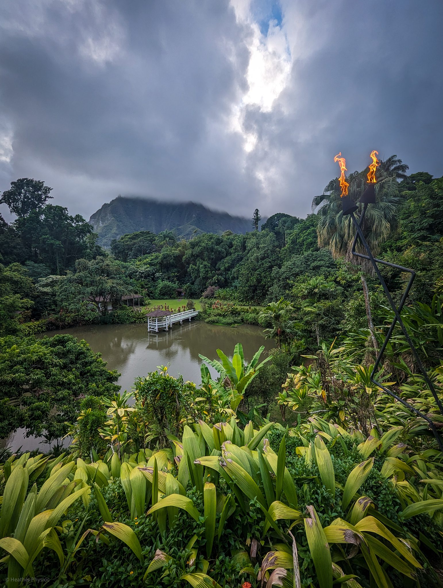 Torches and tropical leaves make a frame overlooking a tranquil pond at Haiku Gardens, the view from Haleiwa Joe's seafood restaurant on O'ahu, Hawaii