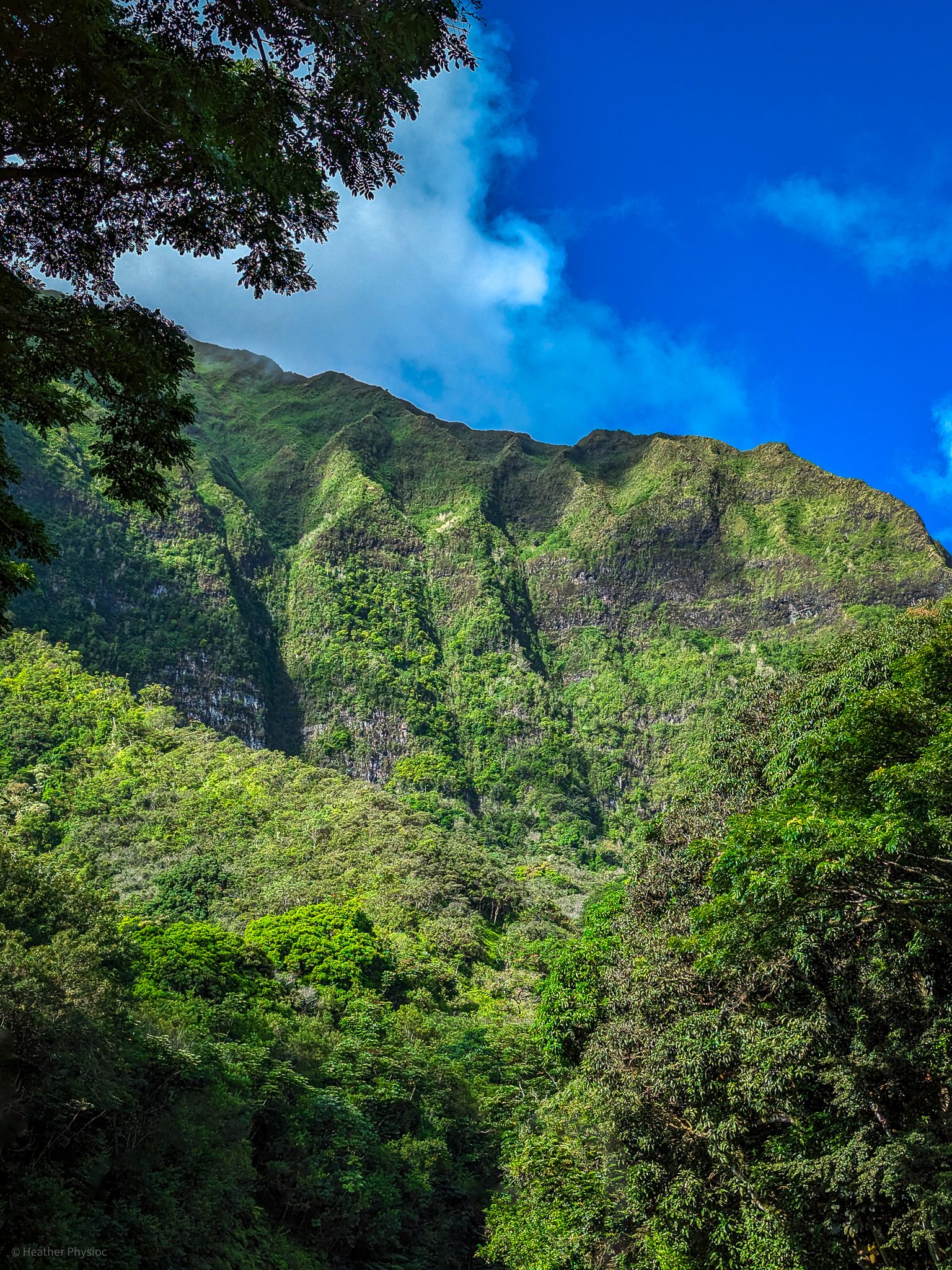 Lush Hanakoa volcanic ridges on O'ahu
