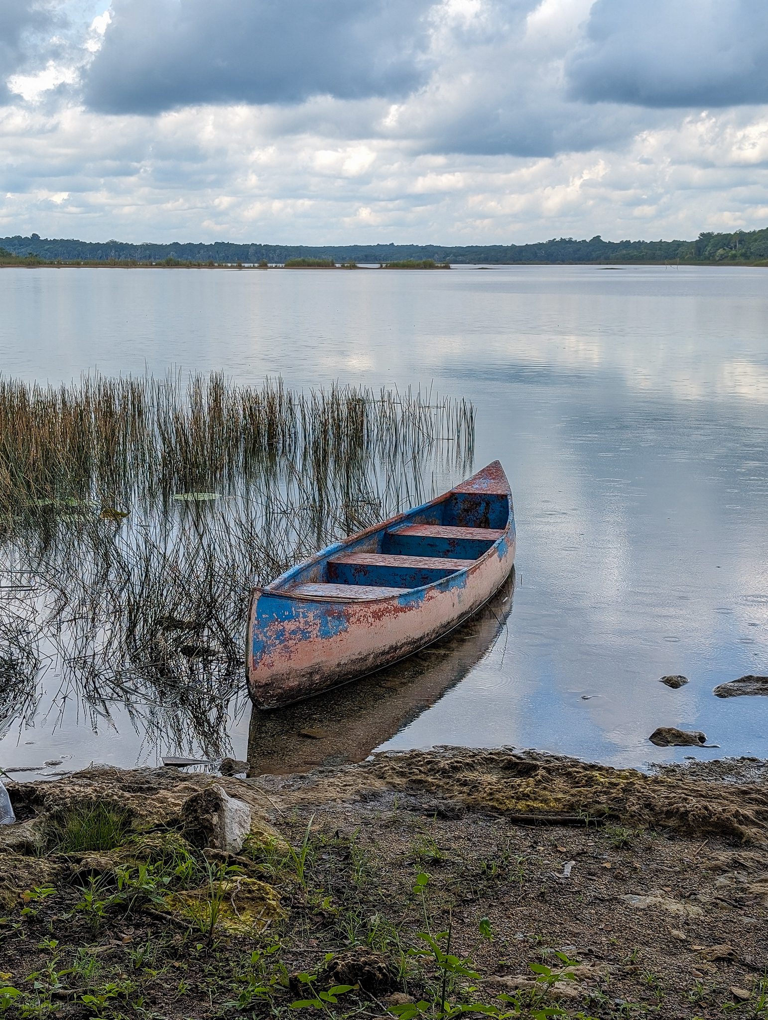 A worn blue and red canoe sits on a lakeshore with grasses and still waters, under a cloudy sky in Punta Laguna, Tulum, Mexico.