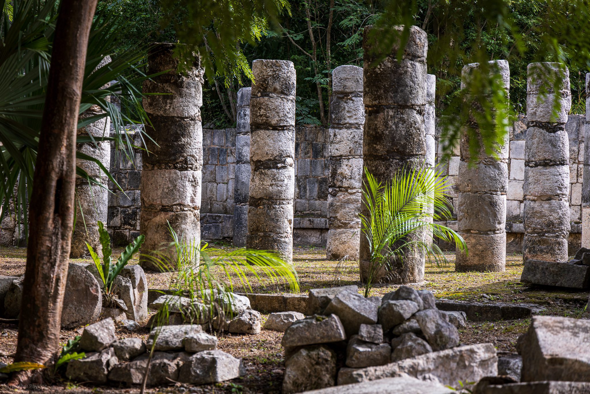 A series of ancient stone pillars, remnants of Mayan architecture, stand in a row at the ruins of Chichén Itzá, surrounded by lush jungle vegetation.
