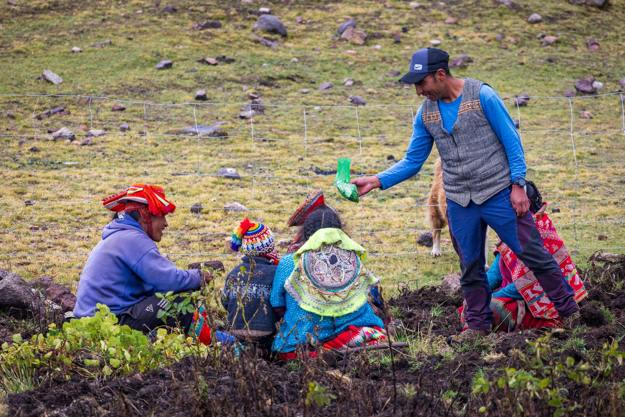 In a highland field of the Sacred Valley, Quechua chef Nemecio Avilés stands beside a wire fence, extending a small green bag of coca leaves to a group of seated community members. The people, dressed in brightly woven traditional clothing and red Andean hats, sit on the ground surrounded by plants and freshly tilled soil. A brown dog rests nearby, and the background reveals a gentle mountain slope dotted with rocks and grass. The exchange captures a warm moment of connection and respect rooted in Andean custom.