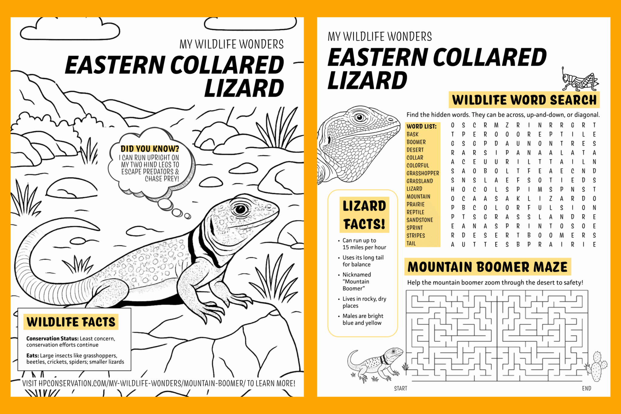 Simplified educational panel emphasizing conservation status, geographic range, and habitat, with a shaded regional map of North America and bold headings on a yellow background.