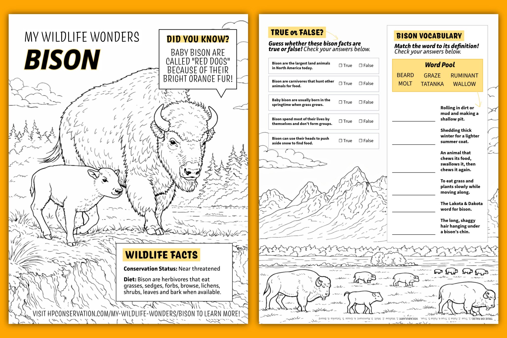 Preview of a bald eagle coloring book page and activity worksheet for kids to download and print for free.