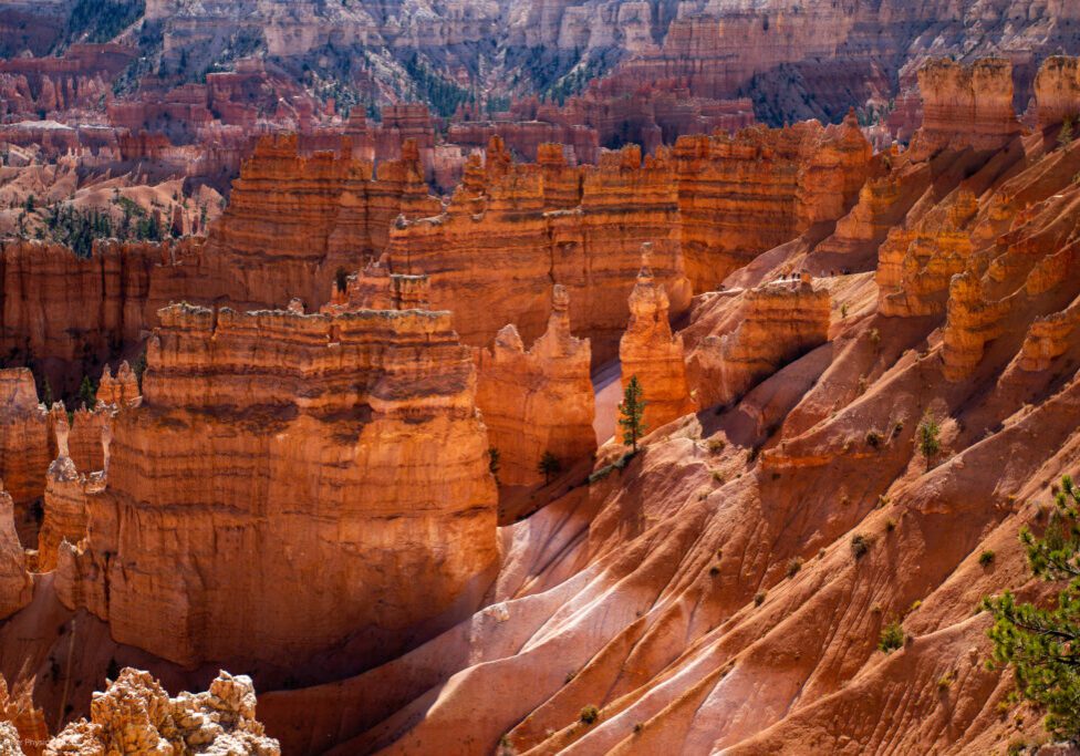 Sedimentary Canyon Fins & Hoodoos at Bryce Canyon National Park