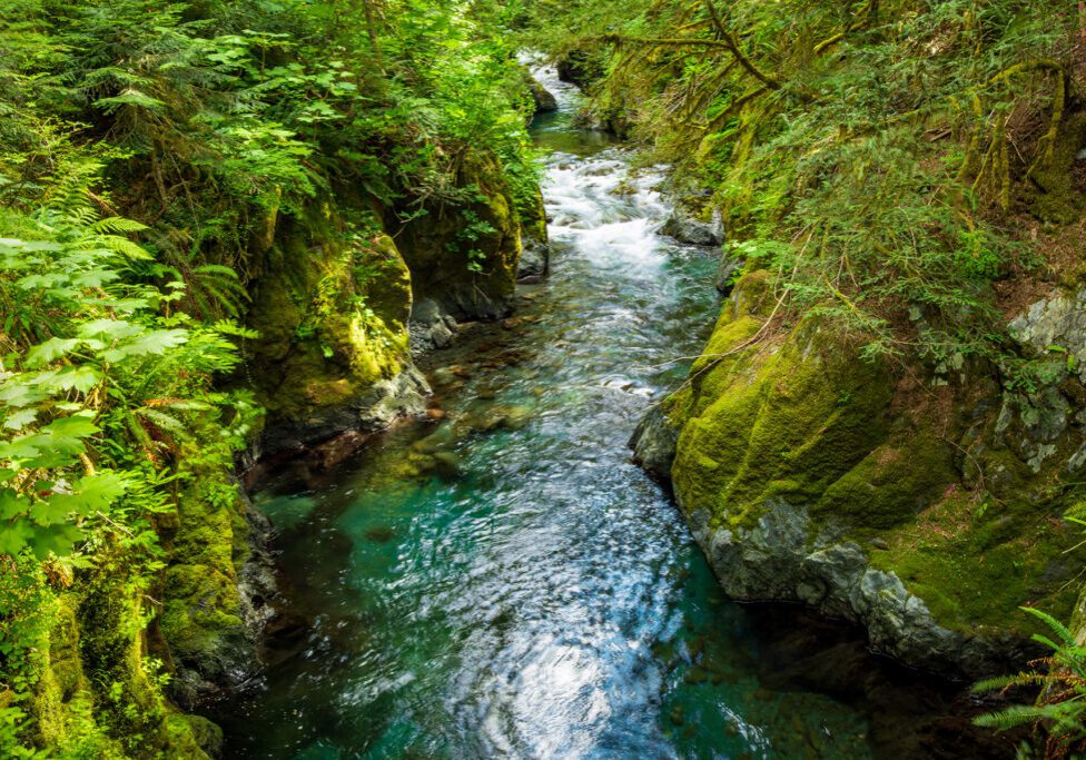 crystal-clear-water-north-fork-skokomish-river-six-stream-olympic-national-park-hpkctrvlr