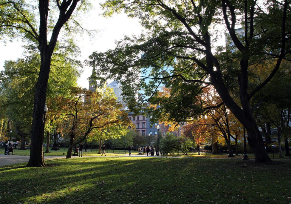 Fall Foliage at Boston Common