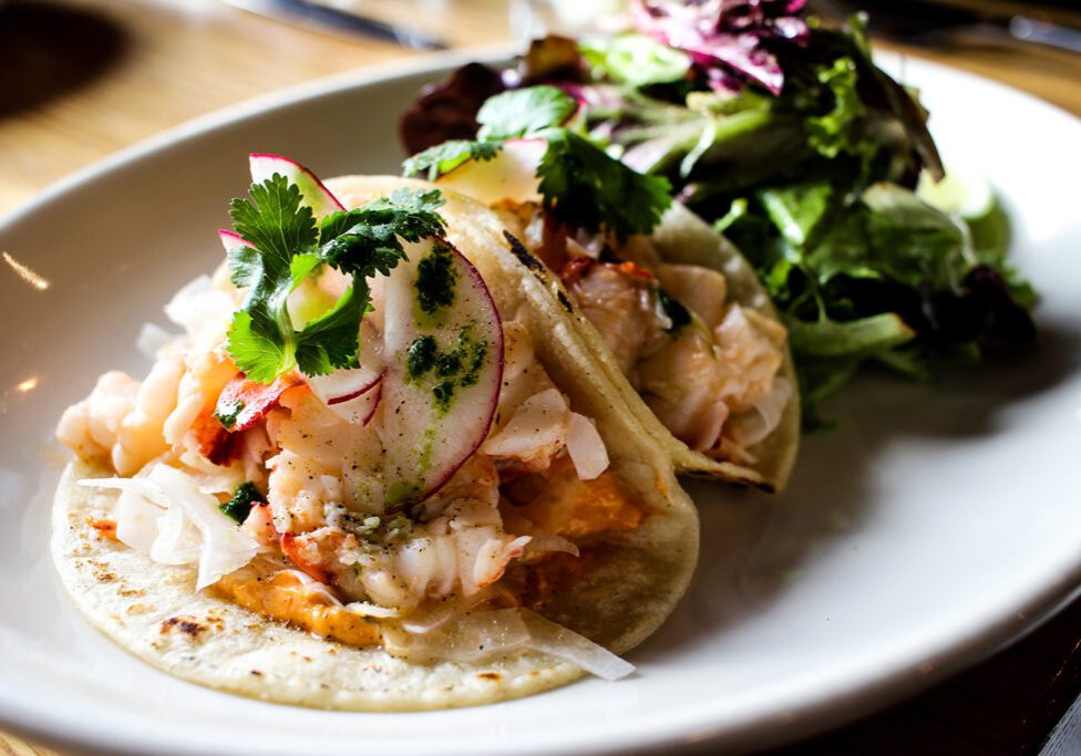 isa-restaurant-portland-maine-lobster-tacos