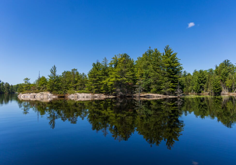 Island of Trees & Cloud Reflected on Rainy Lake in Voyageurs National Park, Minnesota