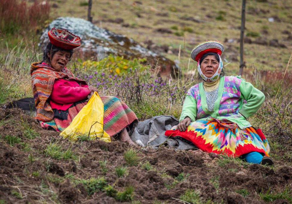 Quechua a Harvesting Potatoes in Patacancha