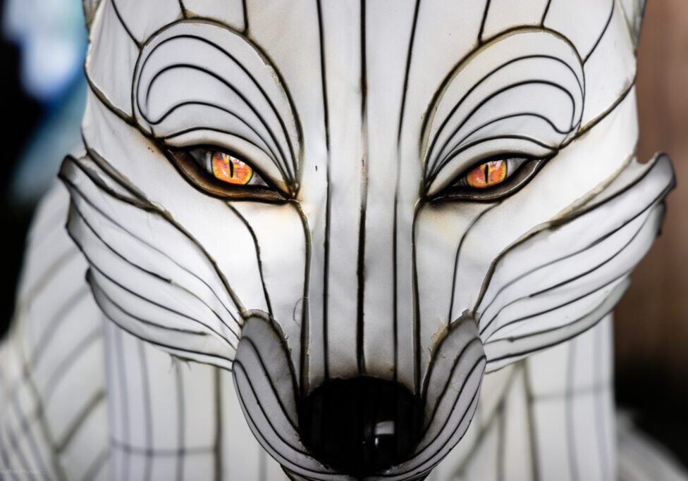 Wolf illuminated silk and steel lantern sculpture at 2023 GloWild event at the Kansas City Zoo & Aquarium